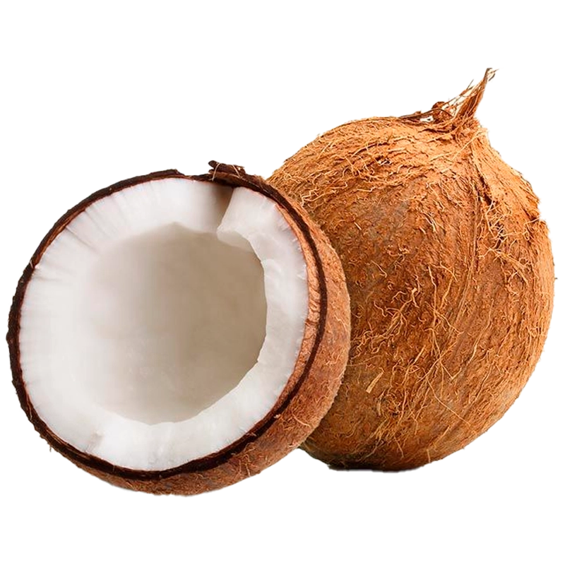 COCO FRUVER UND